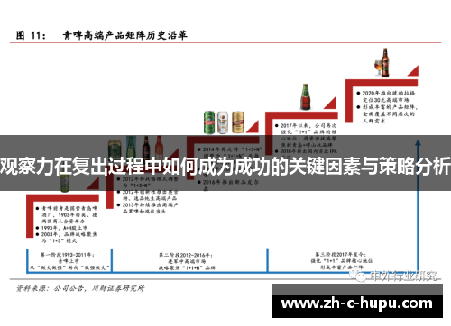 观察力在复出过程中如何成为成功的关键因素与策略分析