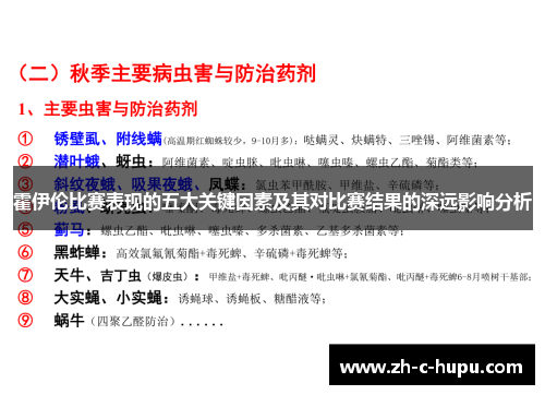 霍伊伦比赛表现的五大关键因素及其对比赛结果的深远影响分析