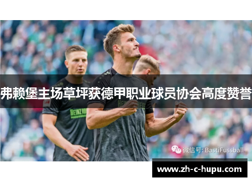 弗赖堡主场草坪获德甲职业球员协会高度赞誉 弗赖堡主场草坪获德甲职业球员协会高度赞誉