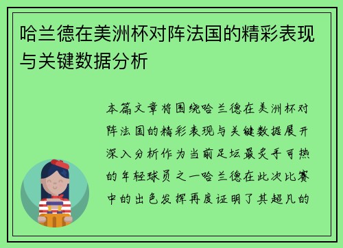 哈兰德在美洲杯对阵法国的精彩表现与关键数据分析